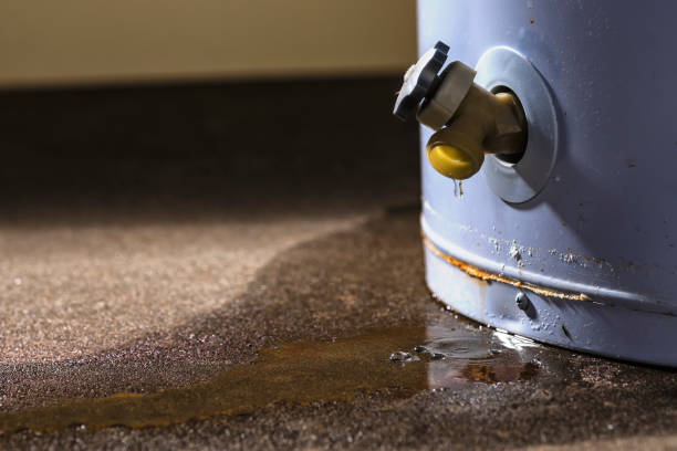 Best Professional water damage repair  in Moreno Valley, CA