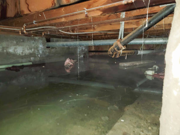 Best Flood restoration services  in Moreno Valley, CA