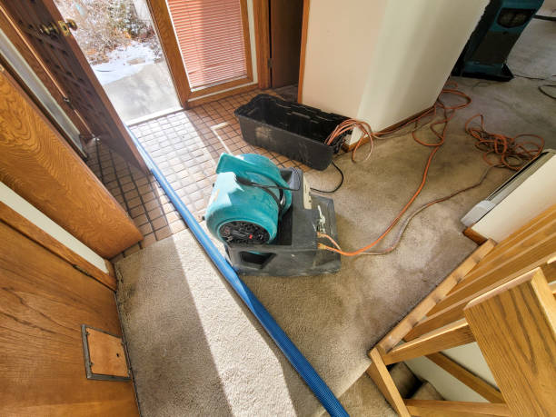 Professional Water damage restoration in Moreno Valley, CA