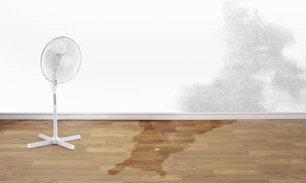 Best Water damage restoration process  in Moreno Valley, CA