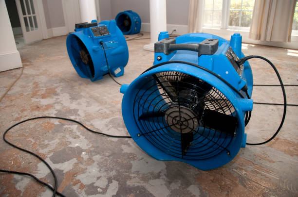 Best Water damage repair service  in Moreno Valley, CA