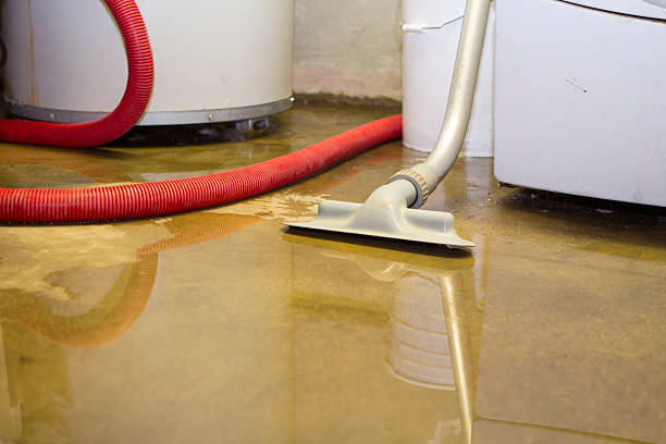 Best Carpet water damage restoration  in Moreno Valley, CA