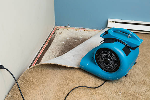 Best Ceiling water damage repair  in Moreno Valley, CA